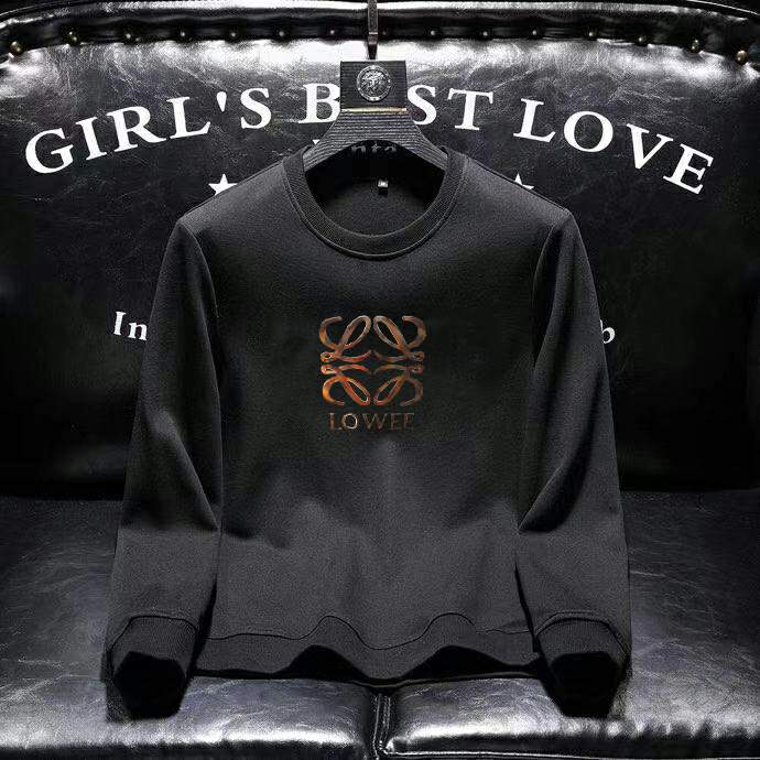 Picture of Loewe  Sweatshirt _SKULoeweM-4XL11Ln7133585